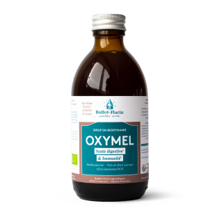 Oxymel - Sirop de vinaigre de menthe et miel