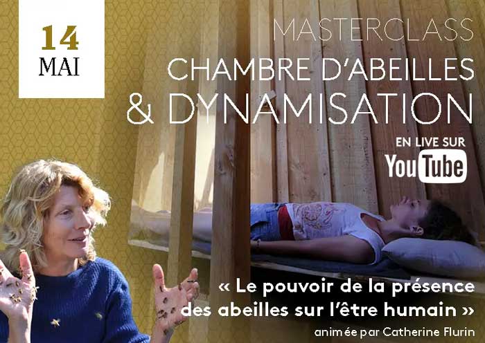 MasterClass Chambre d'Abeille & Dynamisation